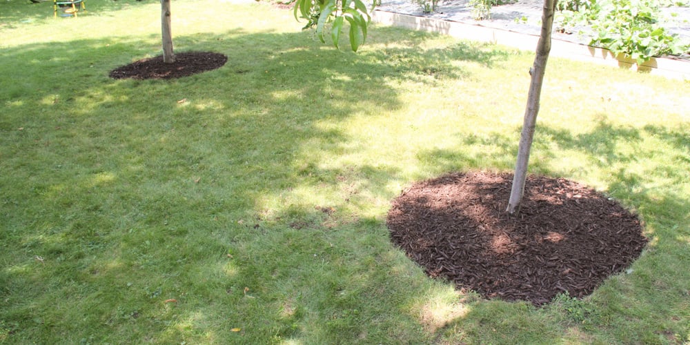 Bark Mulch Weed Control For Around Trees