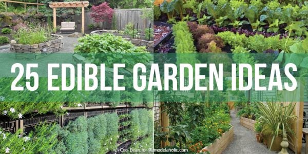 24-edible-garden-ideas