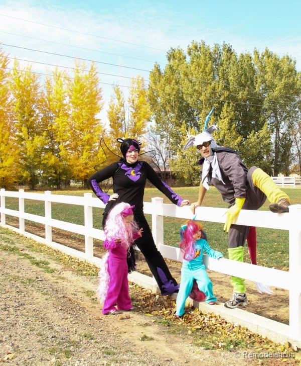 My Little Pony Family Costumes @Remodelaholic
